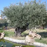 Perla