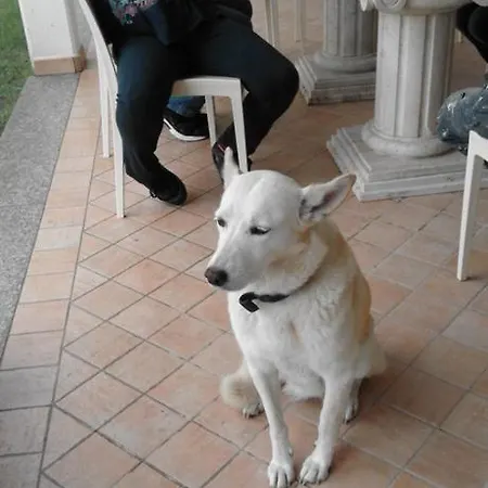 Frühstückspension Perla 3*