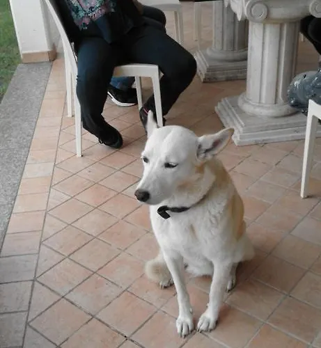 ベッド・アンド・ブレックファスト Perla 3*